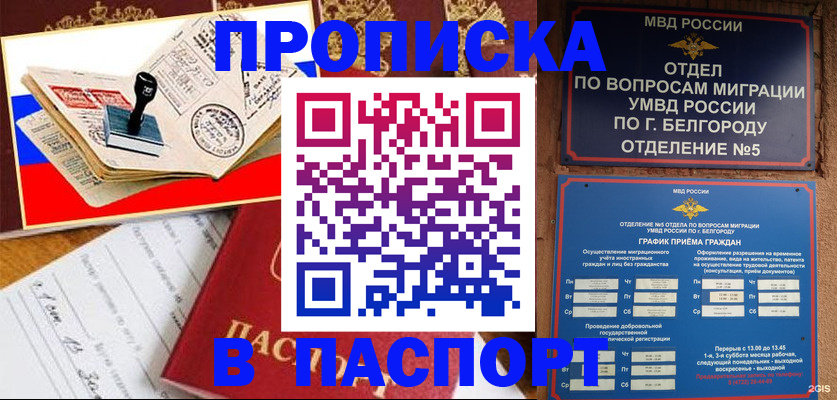 купить прописку в Подольске